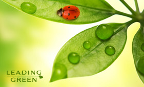 Leading Green